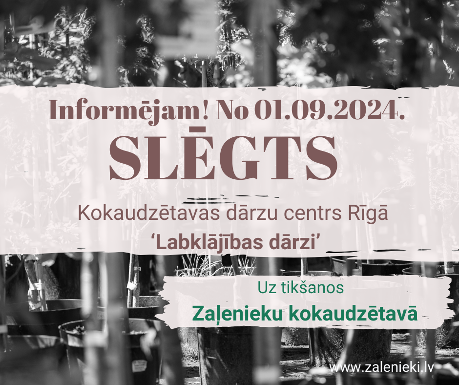 No 01.09.2024. Slēgts dārzu centrs ‘Labklājības dārzi’ Rīgā.