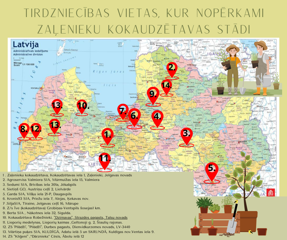 Kur Latvijā nopērkami Zaļenieku kokaudzētavā audzētie stādi.