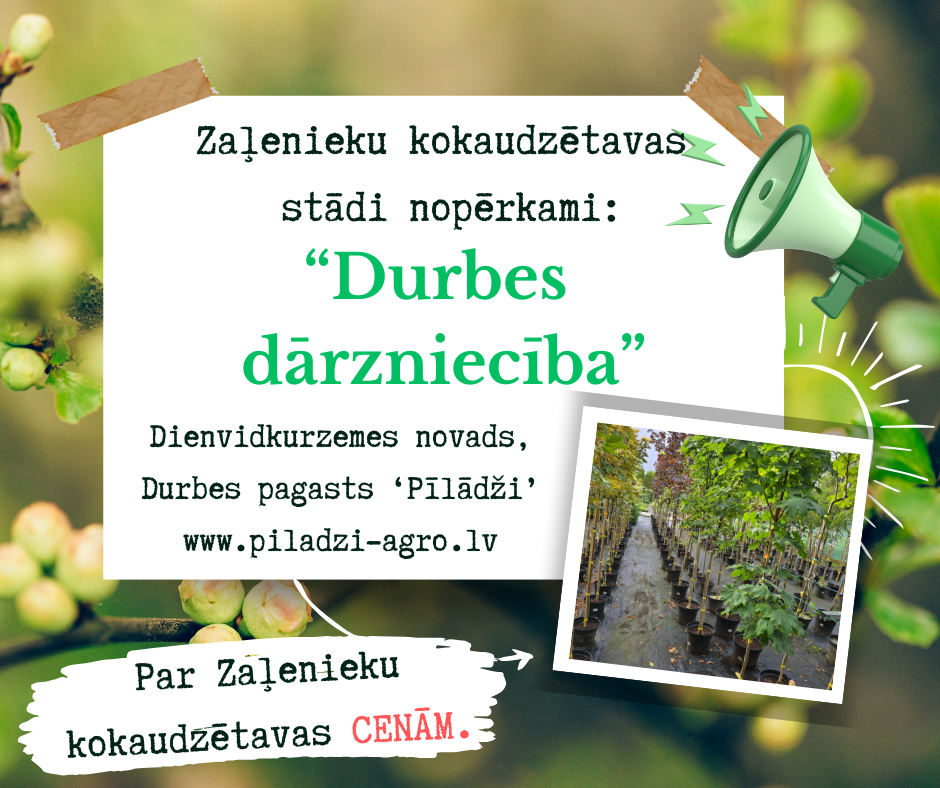 Sadarbības partneris arī KURZEMĒ!