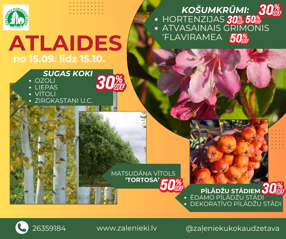 Rudens atlaides 2025. septembris