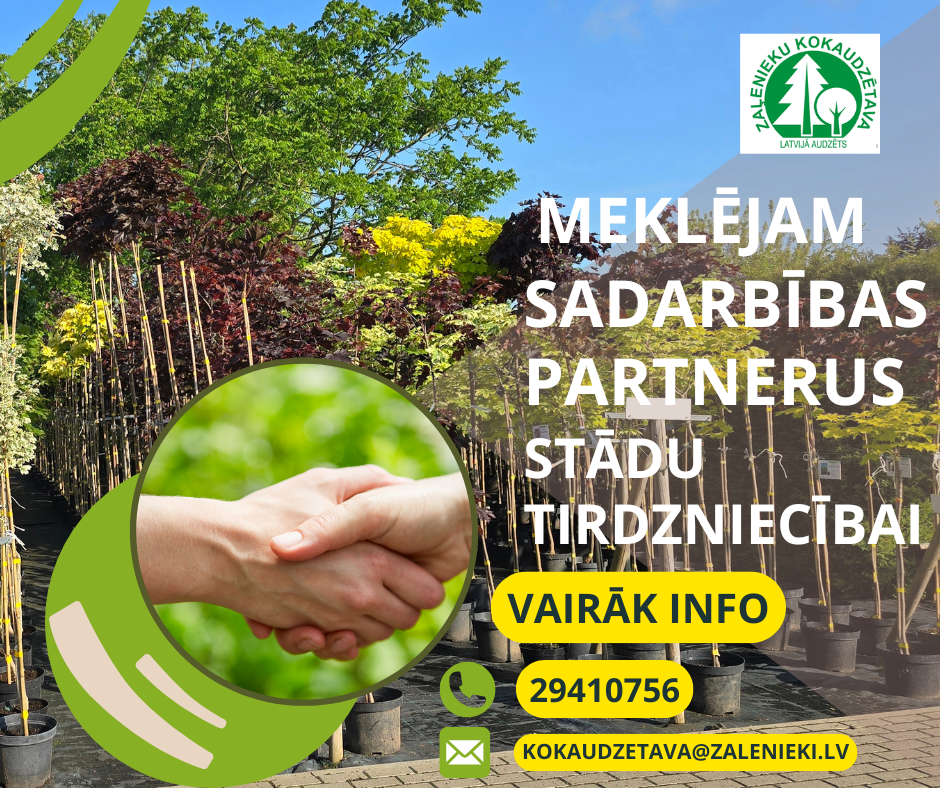 Meklējam sadarbības partnerus stādu tirdzniecībai.