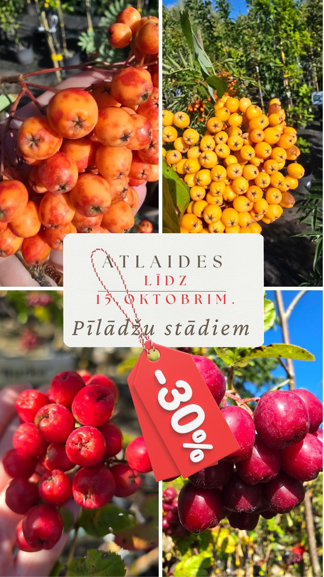 Rudens atlaides līdz 15.oktobrim.