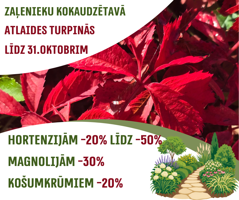 ATLAIDES TURPINĀ LĪDZ 31.oktobrim!