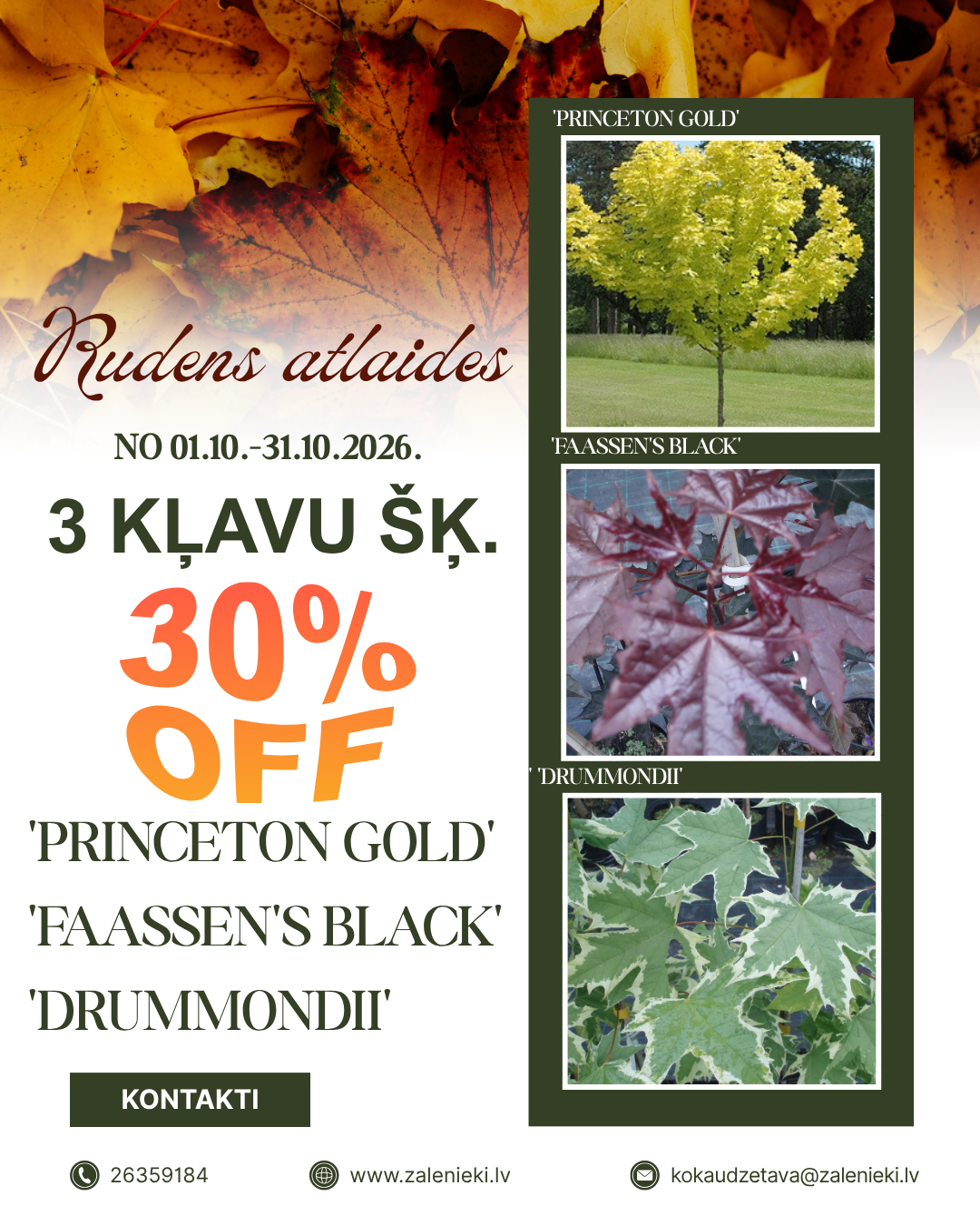 3 KĻAVU ŠĶIRNĒM ĪPAŠA ATLAIDE -30%!!!